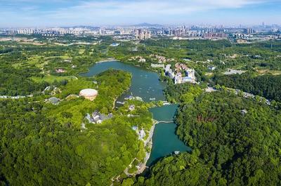 草地露營、國潮音樂節、少兒音樂匯 南京珍珠泉度假區假期精彩紛呈，盡顯卓越園區管理服務