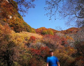 2019平山駝梁風景區游玩全攻略 門票價格、游覽路線、地址與服務詳解